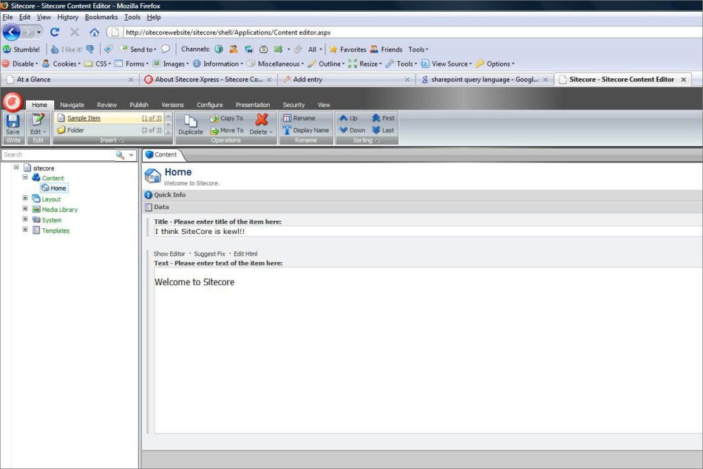 The Sitecore CMS