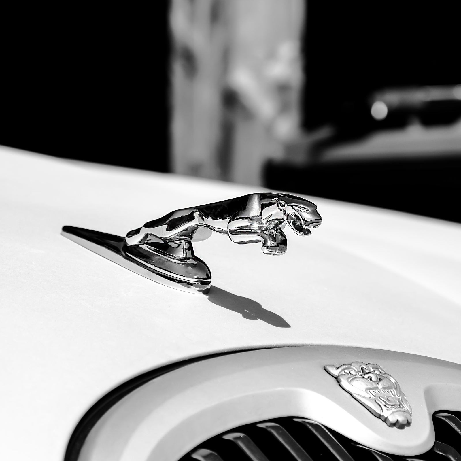 Jaguar Land Rover | Clients and Case Studies | Box UK