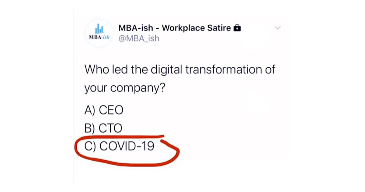 Who led the digital transformation of your company? A) CEO B) CTO C) COVID-19